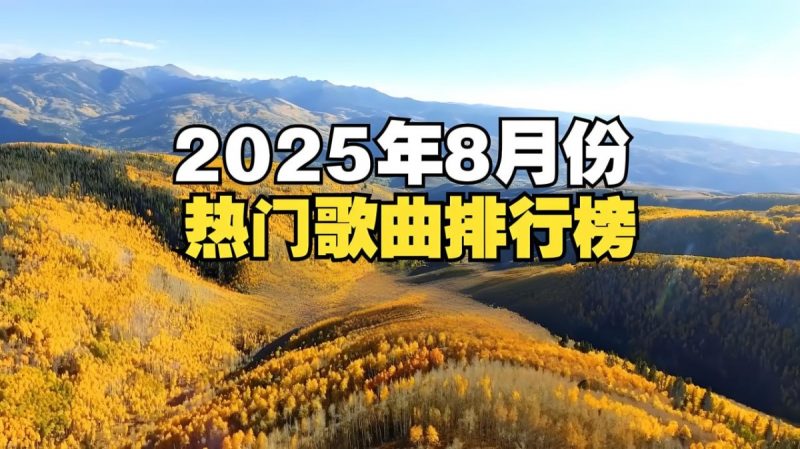 2025年8月热门流行无损歌曲合集-95资源网